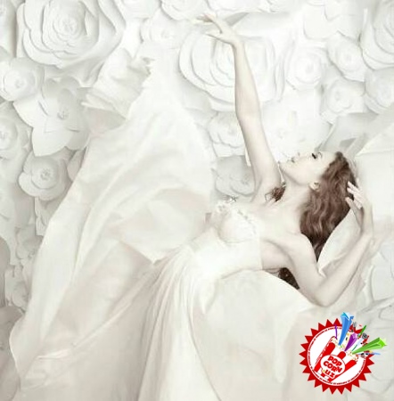 Лола барча саволларга жавоб беришга тайёр