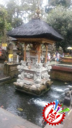 Бали оролида Манзурани ҳаяжон босди