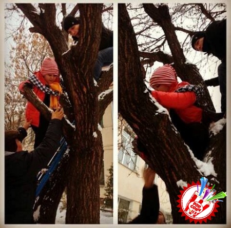 Наврўз байрами учун болаларга аталган муносиб туҳфа