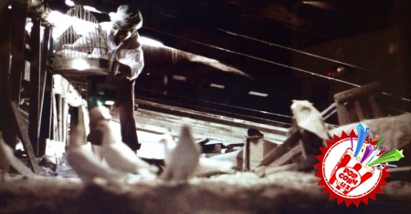 Улуғбек Раҳматуллаев клип суратга олиш жараёнидаги қалтис вазиятлар