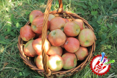 Суратлардаги ноодатий образлар... Шоу-бизнеснинг энг ёрқин намоёндалари иштирокида... яна нима бўлиши мумкин?
