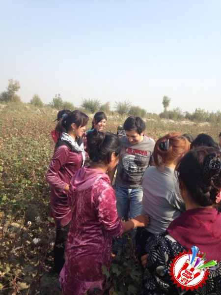 Ойбек ва Нигора пахта майдонида