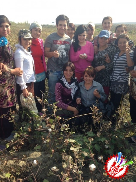 Ойбек ва Нигора пахта майдонида