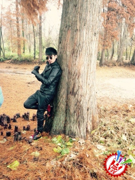 "Манго" гуруҳи ижодида ва таркибида янгиликлар бор!