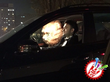 Асал Шодиева ҳамда Шоҳруххон орасидаги муҳаббат ҳақиқатми...