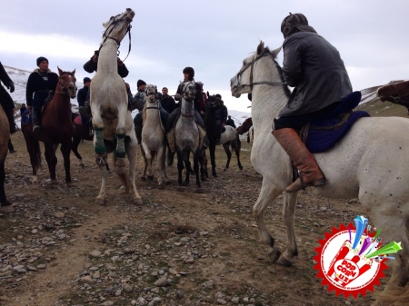 "Кўпкари" Сурхон гурухидан тез кунда