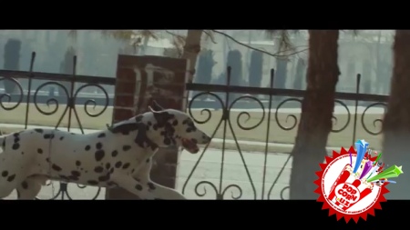 Шаҳзодадан узоқ кутилган ва ваъда қилинган клип премьераси