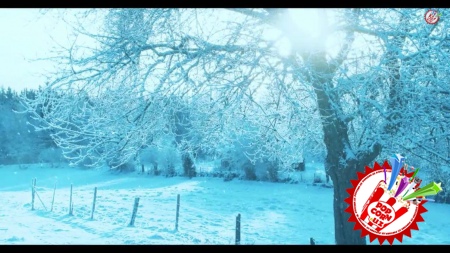 Шуҳрат Закиров “Қиш”... Клипни томоша қилиб ҳаёллар дунёсига саёҳат қилинг