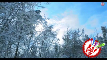 Шуҳрат Закиров “Қиш”... Клипни томоша қилиб ҳаёллар дунёсига саёҳат қилинг