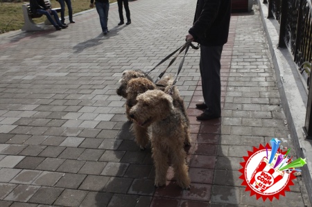 “Тушларимга киринг Отажон”... Клип жараёнлари