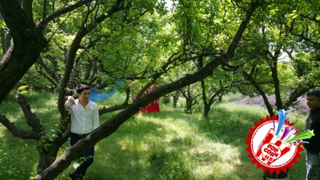 Тез кунда Фарруҳ Раимов яккахон ижодидаги навбатдаги янги таронасини туҳфа этиш истагида