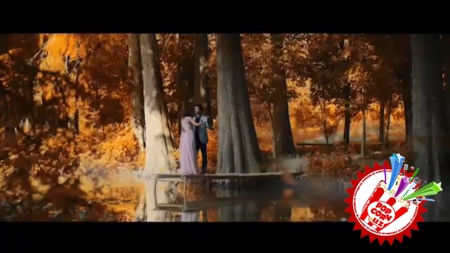 Диёр Маҳкамовдан “Севар эдим”  тез кунда!