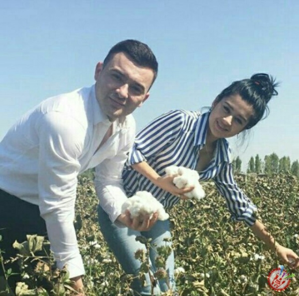 Фарҳод ва Ширин пахта далаларида