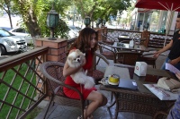 “Мен ёлғончиман”