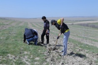 Балли, Камолиддин!