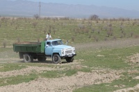 Балли, Камолиддин!