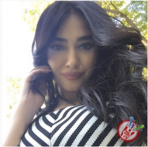 Санъаткорлар  сулоласи