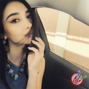 Санъаткорлар  сулоласи