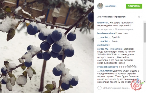 Машҳурлар қишнинг илк куни билан қутлашди