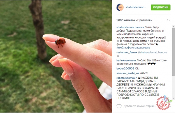 Машҳурлар қишнинг илк куни билан қутлашди