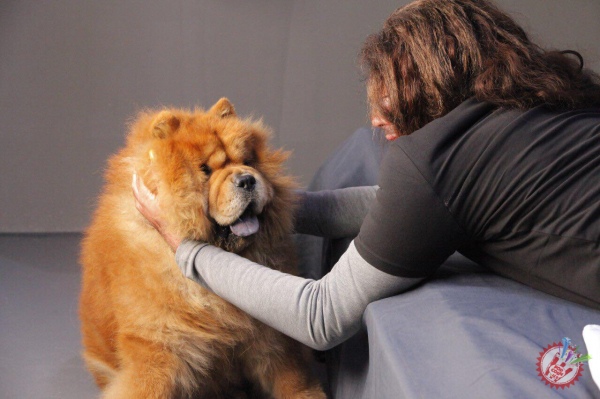 “Севгимсан” клипи ҳақида янада батафсил