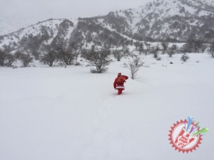 Виа Шарқдан янги йилга байрамона туҳфа