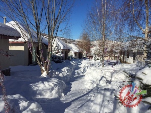 Виа Шарқдан янги йилга байрамона туҳфа