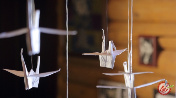 “Яраланган қанот” энди клипи билан