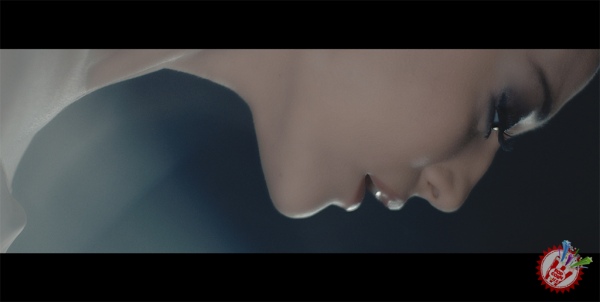 Лоладан дардга тўла клип премьераси “Яраланган қанот”