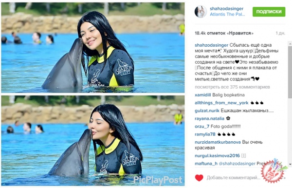 Мафтункор Шаҳзоданинг яна бир орзуси ушалди