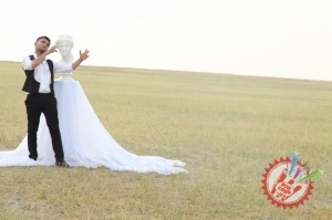 Шоҳруҳхондан “Дарак йўқ”