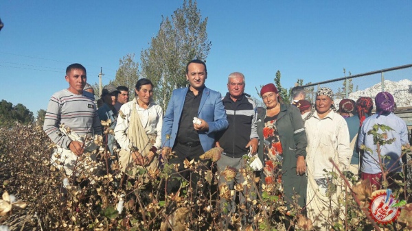 Тадбирлар Хива, Қўшкўпир, Шовот туманларида давом этди