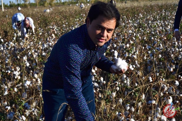 Тадбирлар Хива, Қўшкўпир, Шовот туманларида давом этди