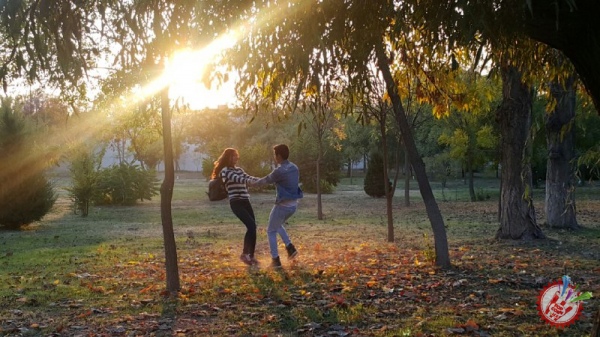 “Кунгабоқар”  - мухлисларни қай даражада ўзига ром этади?