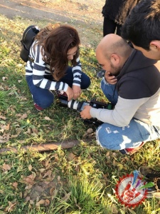 “Кунгабоқар”  - мухлисларни қай даражада ўзига ром этади?