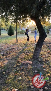 “Кунгабоқар”  - мухлисларни қай даражада ўзига ром этади?