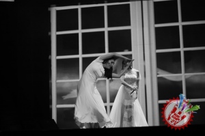 Шаҳзоданинг яккахон концерт дастурининг  олтинчи кунидан фоторепортаж