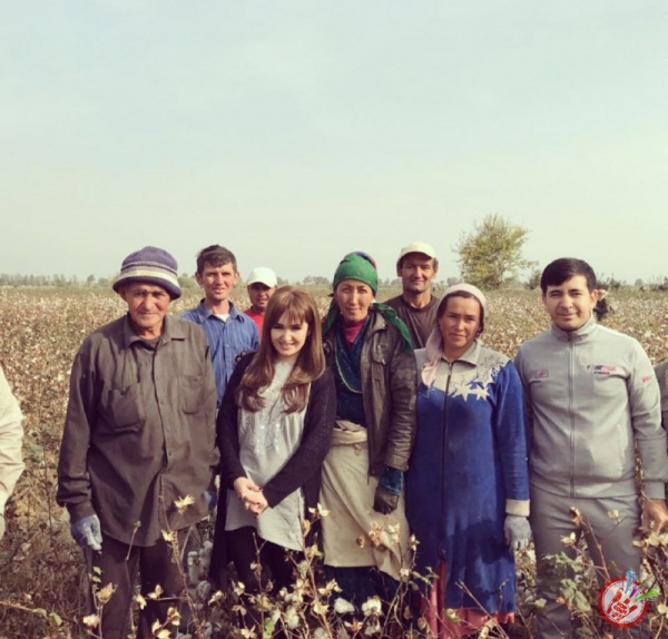 Санъаткорлар пахта теримида