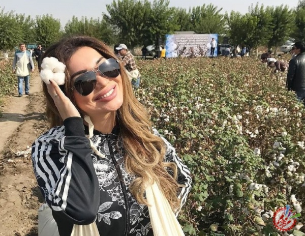 Санъаткорлар пахта теримида