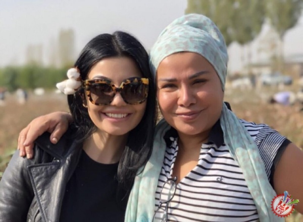 Санъаткорлар пахта теримида