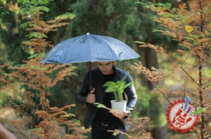 Сарвар ва Комил "Бахтли бўл" таронаси учун видеоклип суратга олдирди